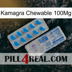 Kamagra Chewable 100Mg new15